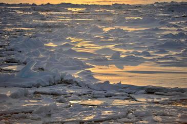 Cape Adalaire Antarctica. © Etienne Pierart